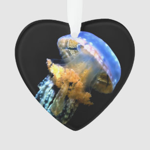 Adorno Blue Jellyfish