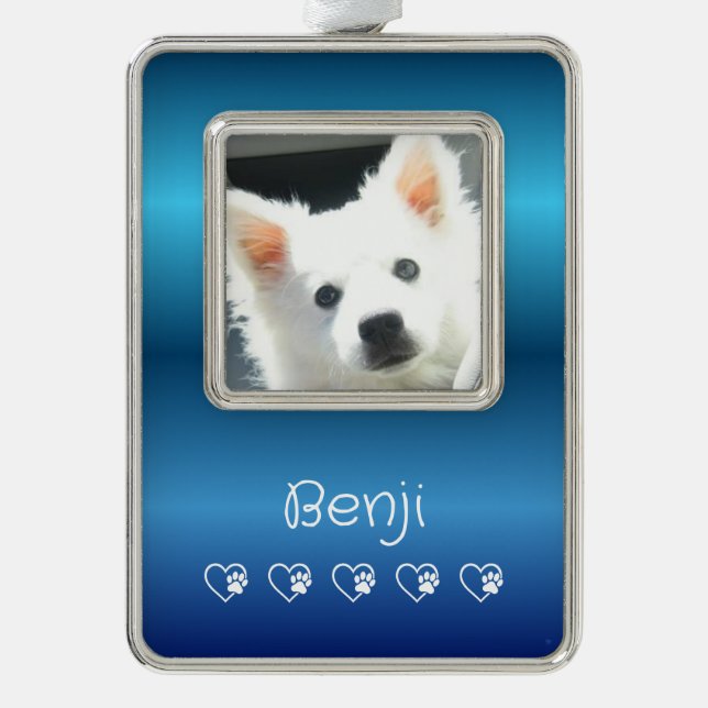 Adorno Blue Pet Photo Ornament - Vertical, Personalized (Anverso)