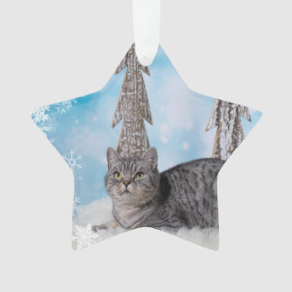Adorno Blue XMAS 2018