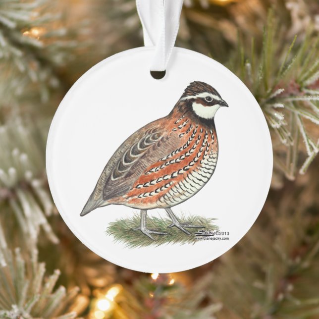 Adorno Bobwhite Quail Rooster (Árbol)