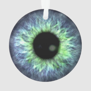 Adorno Bonito de regalo verde azul Eyeball