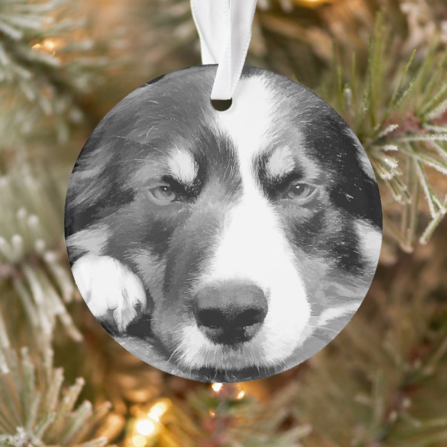 ADORNO BORDER COLLIE (Árbol)