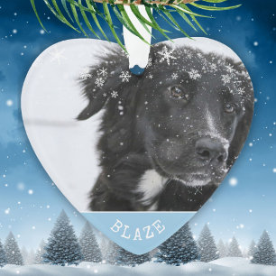Adorno Border Collie Navidad Foto de Mascota Personalizad