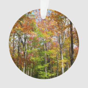 Adorno Bosque de Otoño II Fotografía de paisaje otoñal