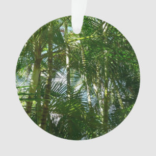 Adorno Bosque de palmeras Naturaleza tropical