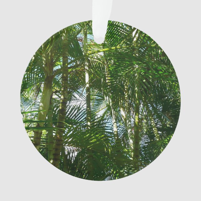 Adorno Bosque de palmeras Naturaleza tropical (Anverso)