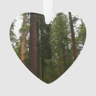 Adorno Bosque Mariposa en el Parque Nacional Yosemite