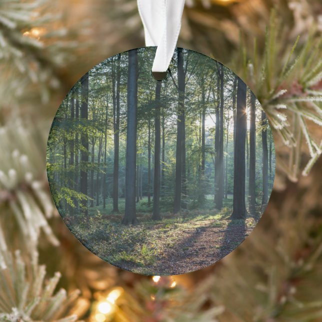 Adorno Bosques | Selva negra Alemania (Árbol)