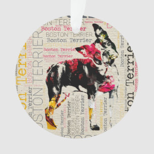Adorno Boston adorable Terrier