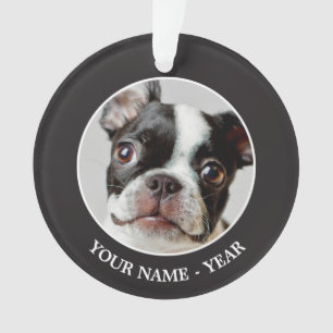 Adorno Boston Terrier