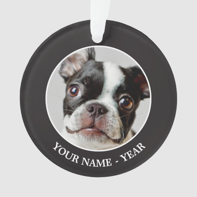Adorno Boston Terrier (Anverso)