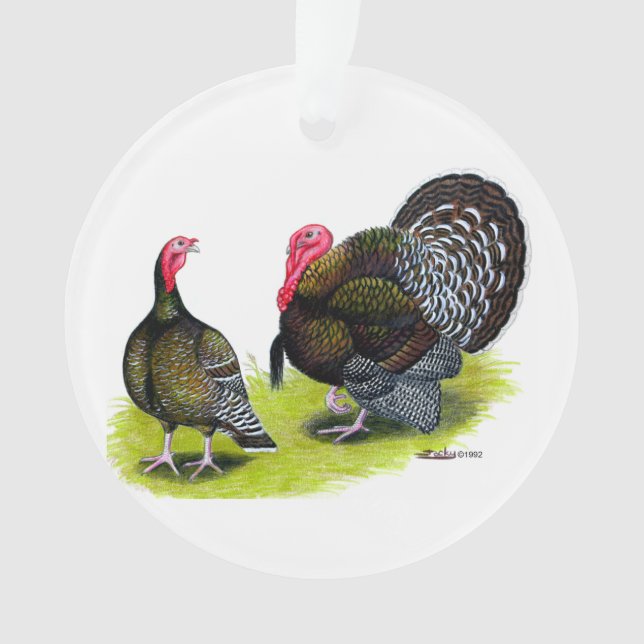 Adorno Bronce con el pecho amplio de Turquía (Anverso)