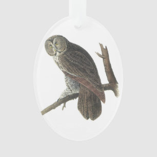 Adorno Búho de gran gris por Audubon