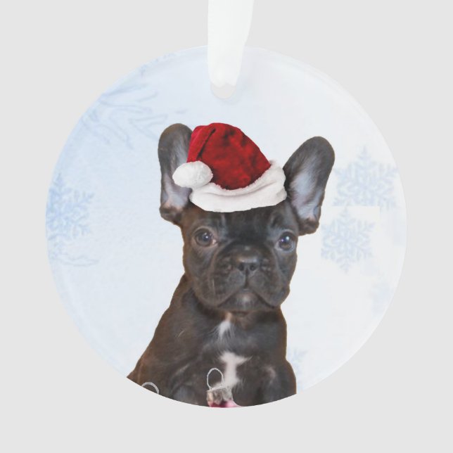 Adorno Bulldog francés del navidad (Anverso)