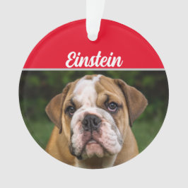 Adorno Bulldog inglés con Navidades de nombre y foto