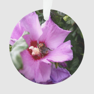 Adorno Bumblebee en la flor de Hibiscus