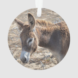 Adorno Burro adorable