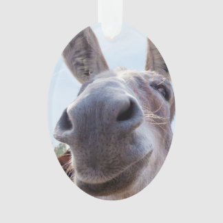 Adorno Burro gris sonriente cómico