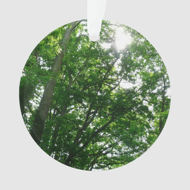 Adorno Buscando árboles de verano (Anverso)