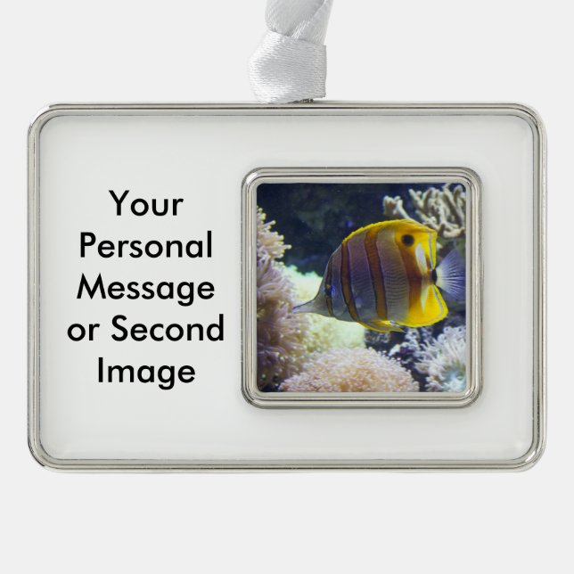 Adorno Butterflyfish amarillos y blancos de Copperband (Anverso)