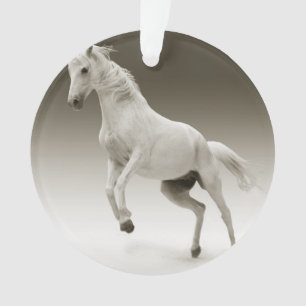 Adorno caballo