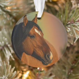 Adorno Caballo Salvaje, Luz Dorada y Arcoíris