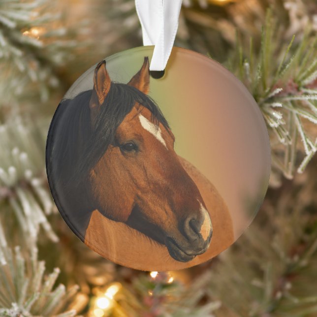 Adorno Caballo Salvaje, Luz Dorada y Arcoíris (Árbol)