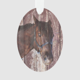 Adorno Cabeza de caballo ojos marrones me mira