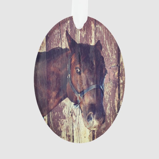 Adorno Cabeza de caballo ojos marrones me mira (Reverso)