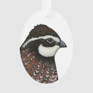 Adorno Cabeza de codorniz Bobwhite
