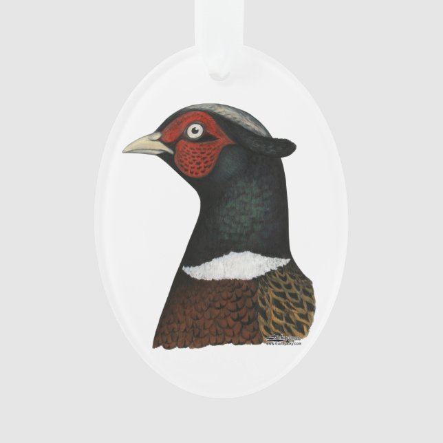 Adorno Cabeza de Pheasant Ringneck (Anverso)