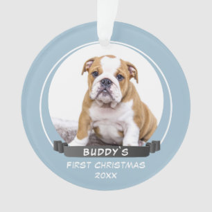 Adorno Cachorro azul lindo Navidades primera foto de perr