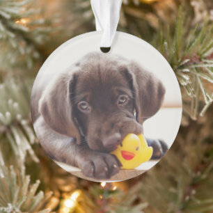 Adorno Cachorro de chocolate con pato de juguete