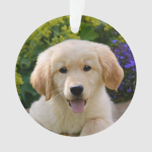 Adorno Cachorro de Perro con quien se descubre el goldie 