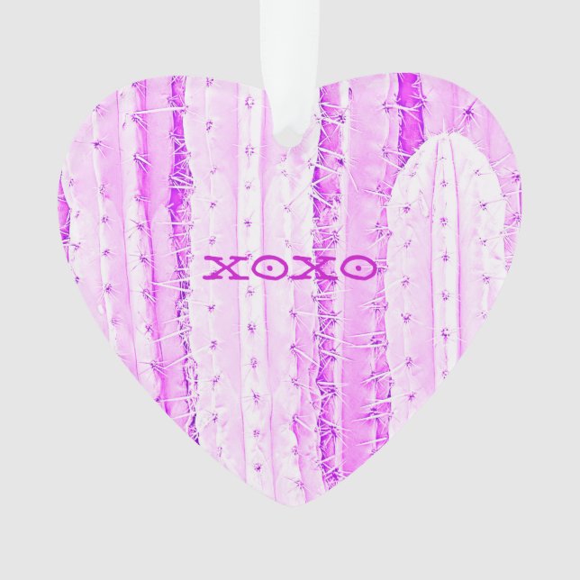 Adorno Cactus Rosa Saguaro XOXO Diversión del desierto de (Anverso)