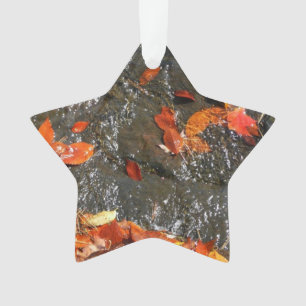 Adorno Caídas en cataratas en fotografía de otoño