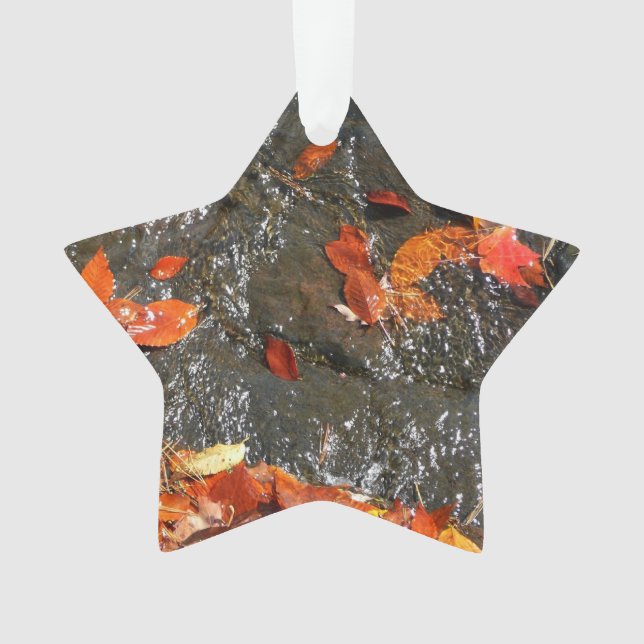 Adorno Caídas en cataratas en fotografía de otoño (Anverso)