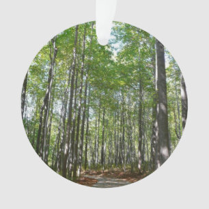 Adorno Camino Maderado Centenario II Ellicott City Maryla