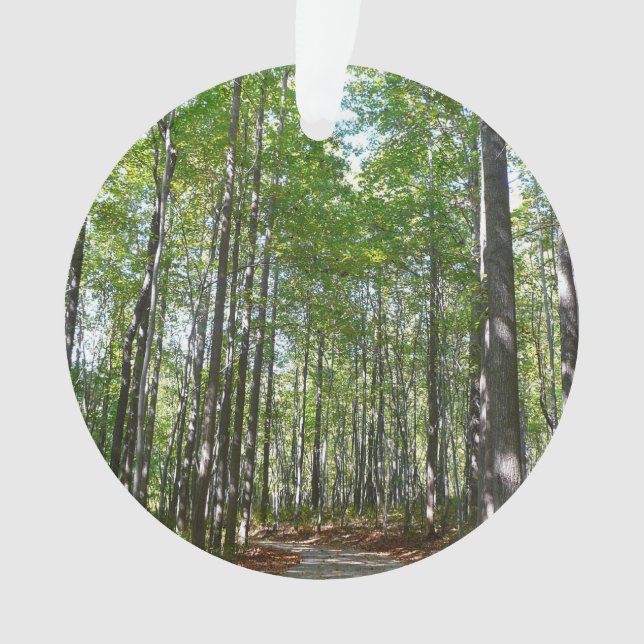 Adorno Camino Maderado Centenario II Ellicott City Maryla (Anverso)