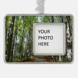 Adorno Camino Maderado Centenario II Ellicott City Maryla