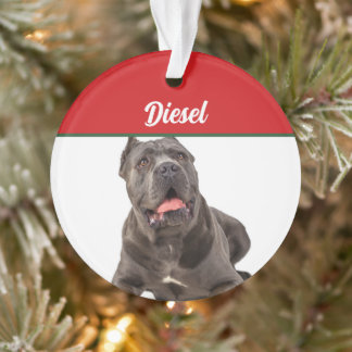 Adorno Cane Corso Dog Holiday Navidades