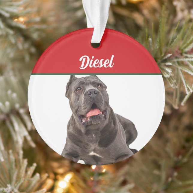 Adorno Cane Corso Dog Holiday Navidades (Árbol)