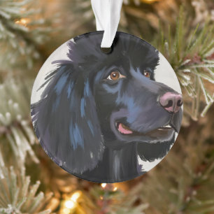 Adorno Caniche Negro Pintura de Mascota Acuarela de Per