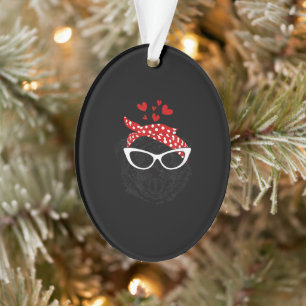 Adorno Cañón Cuaderno En La Cabeza Con Regalos De Gafas