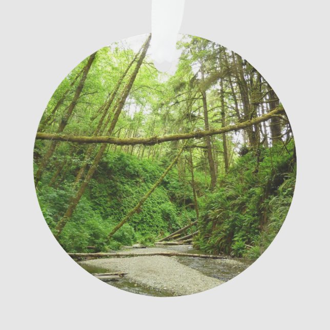 Adorno Cañón Fern I en el Parque Nacional Redwood (Anverso)