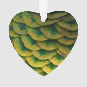 Adorno Caperas de pavo real II Naturaleza colorida