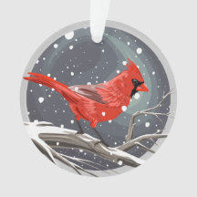 Cardenal de invierno