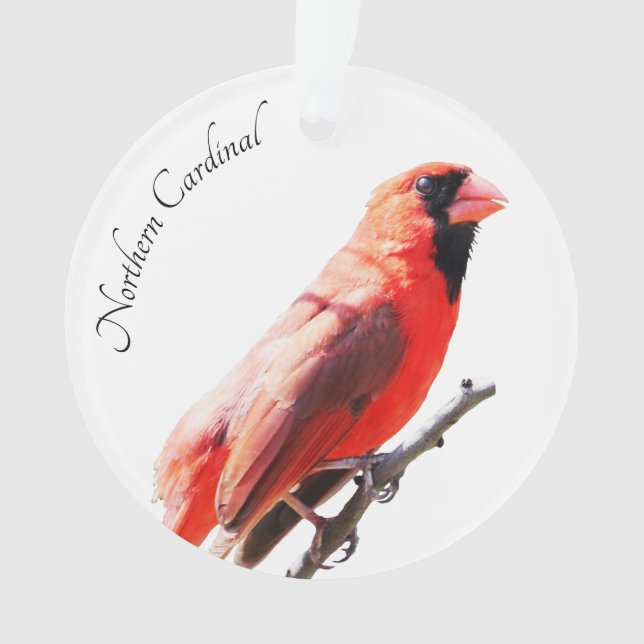 Adorno Cardenal septentrional (Anverso)