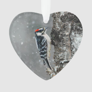 Adorno Carpintero Cabeciblanco en Nieve - Fotografía Orig