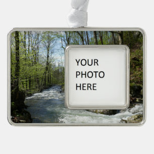 Adorno Carrera de cedro en cañón de roble blanco